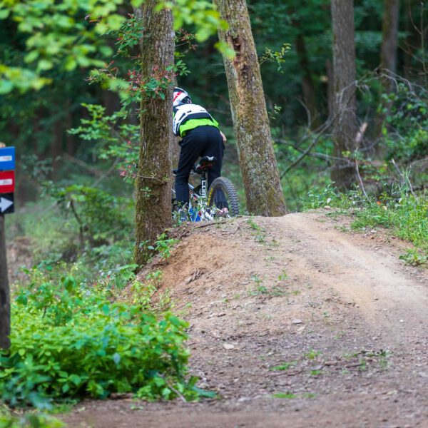 Action, Bad Endbach, Deutschland, Europa, Europe, Flowtrail, Germany, Hessen, Hessia, Hinterland, Location, Mountain Bike, Ort, Sport