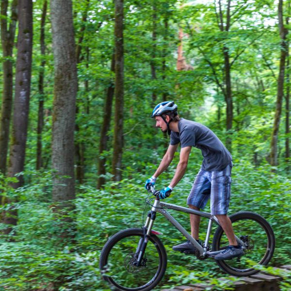 Action, Bad Endbach, Deutschland, Europa, Europe, Flowtrail, Germany, Hessen, Hessia, Hinterland, Location, Mountain Bike, Ort, Sport