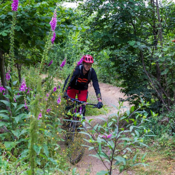Action, Bad Endbach, Deutschland, Europa, Europe, Flowtrail, Germany, Hessen, Hessia, Hinterland, Location, Mountain Bike, Ort, Sport