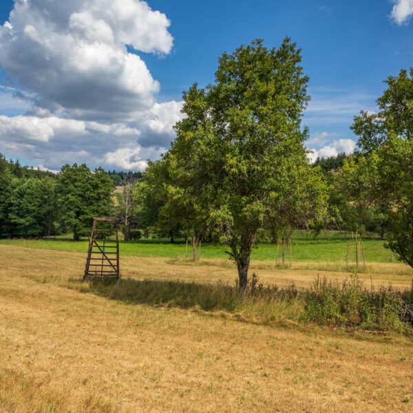 Ansitz, Deutschland, Europa, Europe, Extratour, Germany, Hessen, Hessia, Hiking, Hinterland, Lahn-Dill-Bergland, Location, Ort, Sommer, Summer, Wandern