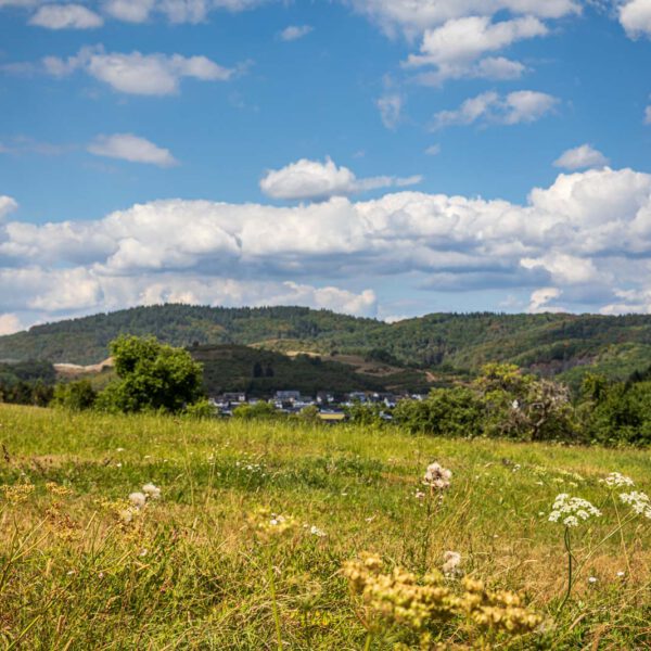 Deutschland, Europa, Europe, Extratour, Germany, Hessen, Hessia, Hiking, Hinterland, Lahn-Dill-Bergland, Location, Ort, Sommer, Summer, Wandern