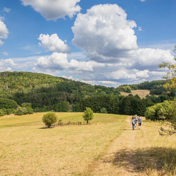 Deutschland, Europa, Europe, Extratour, Germany, Hessen, Hessia, Hiking, Hinterland, Lahn-Dill-Bergland, Location, Ort, Sommer, Summer, Wandern