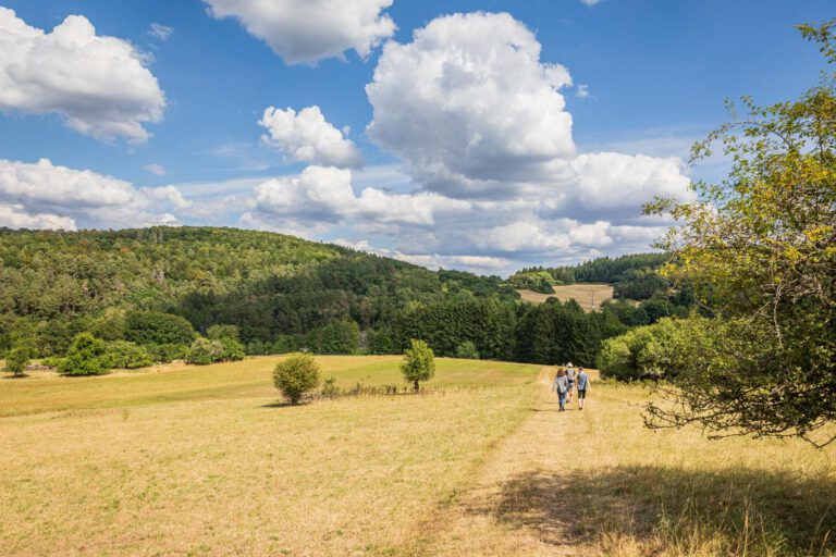 Deutschland, Europa, Europe, Extratour, Germany, Hessen, Hessia, Hiking, Hinterland, Lahn-Dill-Bergland, Location, Ort, Sommer, Summer, Wandern