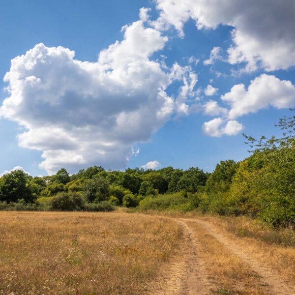 Deutschland, Europa, Europe, Extratour, Germany, Hessen, Hessia, Hiking, Hinterland, Lahn-Dill-Bergland, Location, Ort, Sommer, Summer, Wandern
