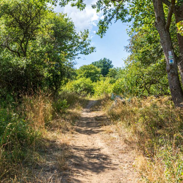 Deutschland, Europa, Europe, Extratour, Germany, Hessen, Hessia, Hiking, Hinterland, Lahn-Dill-Bergland, Location, Ort, Sommer, Summer, Wandern