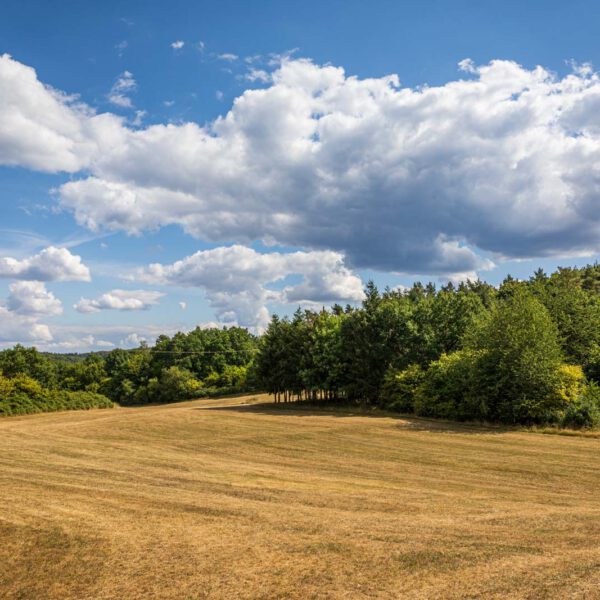 Deutschland, Europa, Europe, Extratour, Germany, Hessen, Hessia, Hiking, Hinterland, Lahn-Dill-Bergland, Location, Ort, Sommer, Summer, Wandern
