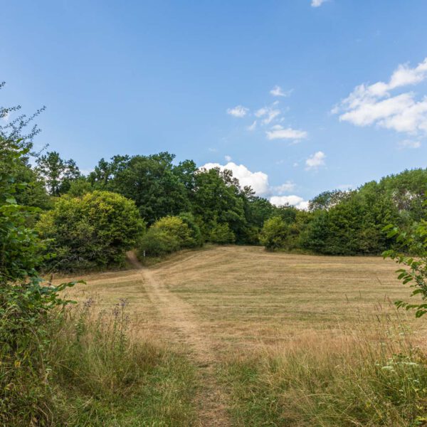 Deutschland, Europa, Europe, Extratour, Germany, Hessen, Hessia, Hiking, Hinterland, Lahn-Dill-Bergland, Location, Ort, Sommer, Summer, Wandern