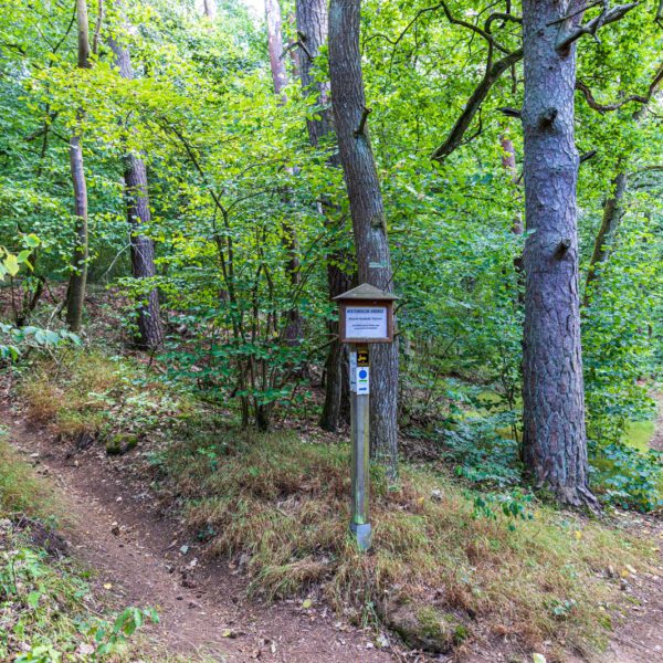 Deutschland, Europa, Europe, Extratour, Germany, Hessen, Hessia, Hiking, Hinterland, Lahn-Dill-Bergland, Location, Ort, Sommer, Summer, Wandern