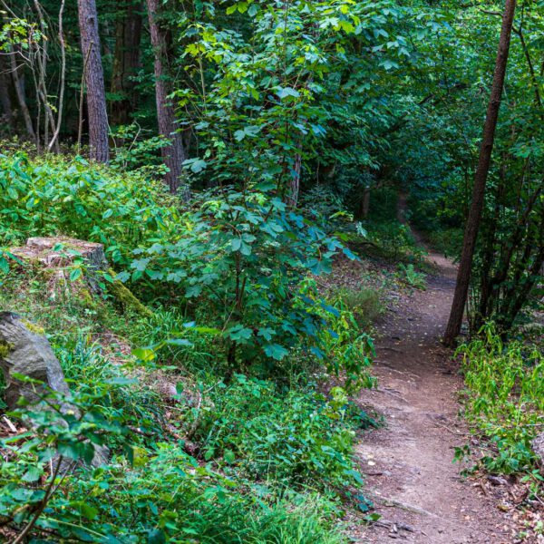 Deutschland, Europa, Europe, Extratour, Germany, Hessen, Hessia, Hiking, Hinterland, Lahn-Dill-Bergland, Location, Ort, Sommer, Summer, Wandern