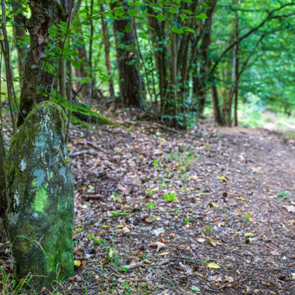 Deutschland, Europa, Europe, Extratour, Germany, Hessen, Hessia, Hiking, Hinterland, Lahn-Dill-Bergland, Location, Ort, Sommer, Summer, Wandern