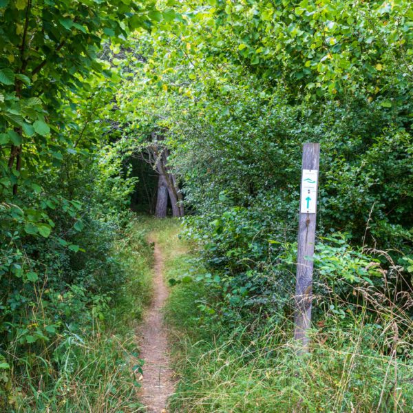 Deutschland, Europa, Europe, Extratour, Germany, Hessen, Hessia, Hiking, Hinterland, Lahn-Dill-Bergland, Location, Ort, Sommer, Summer, Wandern