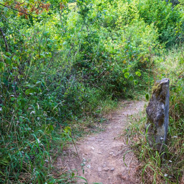 Deutschland, Europa, Europe, Extratour, Germany, Hessen, Hessia, Hiking, Hinterland, Lahn-Dill-Bergland, Location, Ort, Sommer, Summer, Wandern
