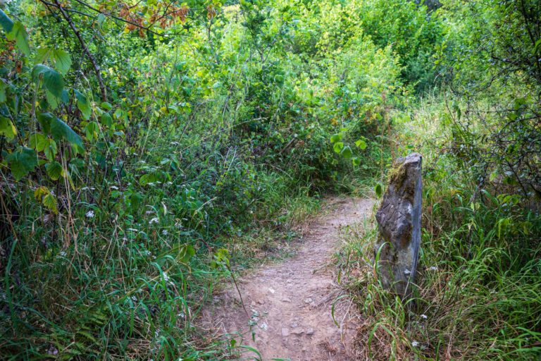 Deutschland, Europa, Europe, Extratour, Germany, Hessen, Hessia, Hiking, Hinterland, Lahn-Dill-Bergland, Location, Ort, Sommer, Summer, Wandern