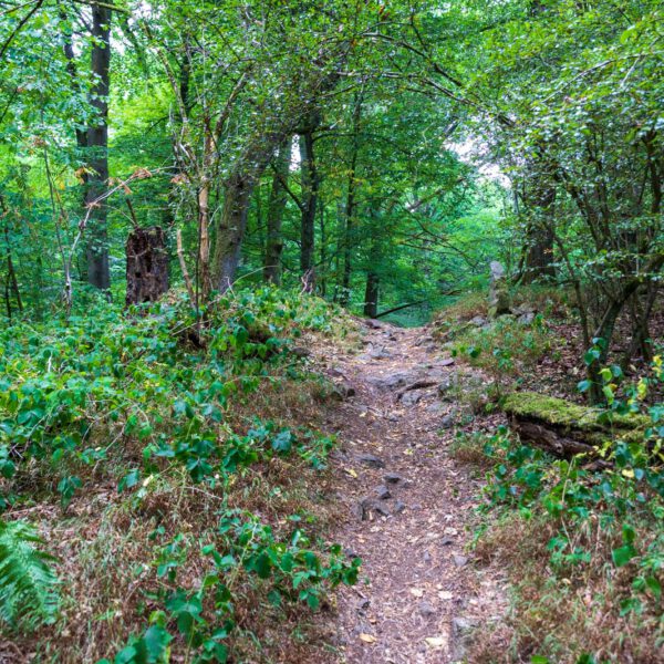 Deutschland, Europa, Europe, Extratour, Germany, Hessen, Hessia, Hiking, Hinterland, Lahn-Dill-Bergland, Location, Ort, Sommer, Summer, Wandern