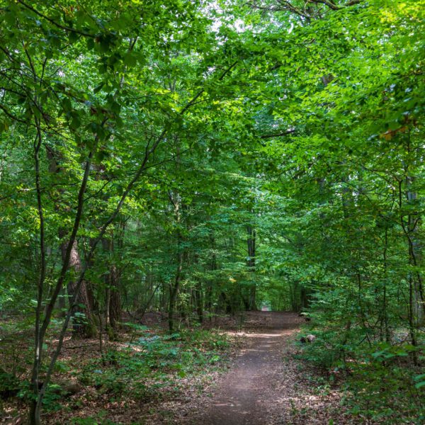 Deutschland, Europa, Europe, Extratour, Germany, Hessen, Hessia, Hiking, Hinterland, Lahn-Dill-Bergland, Location, Ort, Sommer, Summer, Wandern