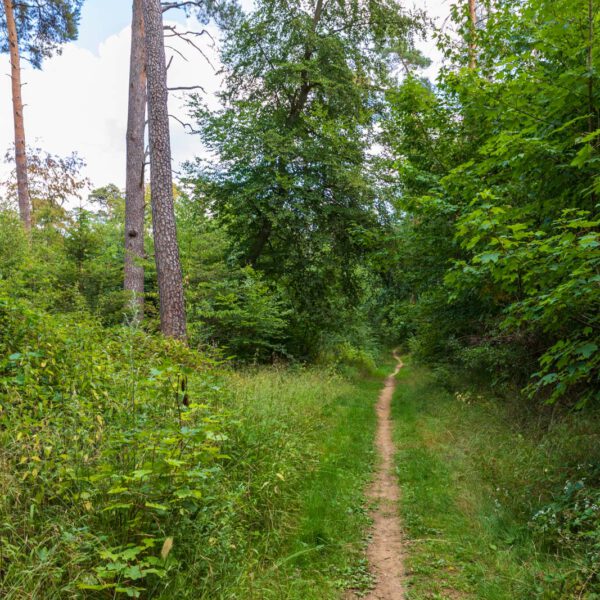 Deutschland, Europa, Europe, Extratour, Germany, Hessen, Hessia, Hiking, Hinterland, Lahn-Dill-Bergland, Location, Ort, Sommer, Summer, Wandern