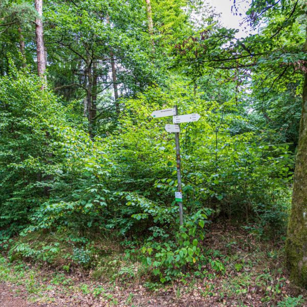 Deutschland, Europa, Europe, Extratour, Germany, Hessen, Hessia, Hiking, Hinterland, Lahn-Dill-Bergland, Location, Ort, Sommer, Summer, Wandern