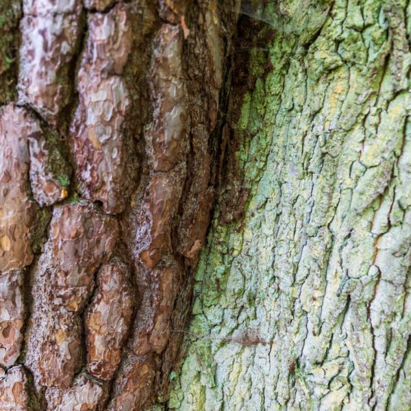 Deutschland, Europa, Europe, Extratour, Germany, Hessen, Hessia, Hiking, Hinterland, Lahn-Dill-Bergland, Location, Ort, Sommer, Summer, Wandern