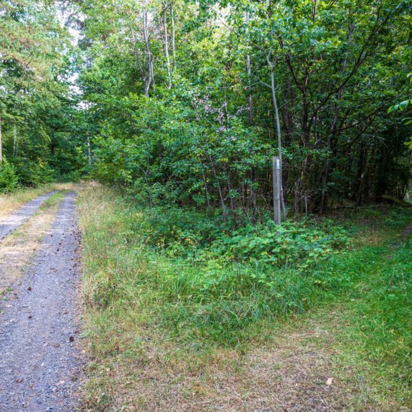 Deutschland, Europa, Europe, Extratour, Germany, Hessen, Hessia, Hiking, Hinterland, Lahn-Dill-Bergland, Location, Ort, Sommer, Summer, Wandern