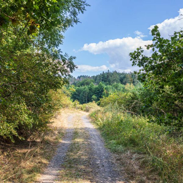 Deutschland, Europa, Europe, Extratour, Germany, Hessen, Hessia, Hiking, Hinterland, Lahn-Dill-Bergland, Location, Ort, Sommer, Summer, Wandern