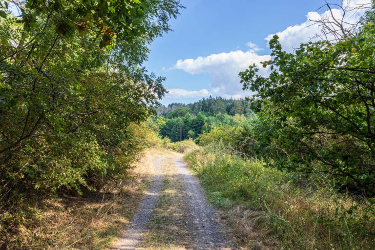 Deutschland, Europa, Europe, Extratour, Germany, Hessen, Hessia, Hiking, Hinterland, Lahn-Dill-Bergland, Location, Ort, Sommer, Summer, Wandern