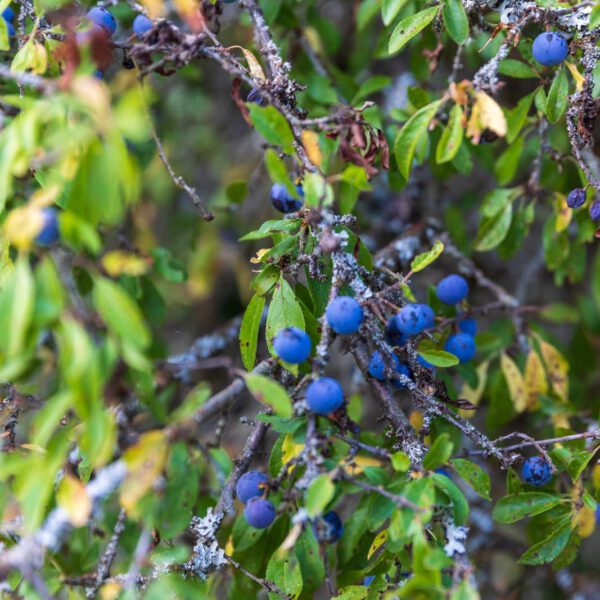 Deutschland, Europa, Europe, Extratour, Germany, Hessen, Hessia, Hiking, Hinterland, Lahn-Dill-Bergland, Location, Ort, Sommer, Summer, Wandern