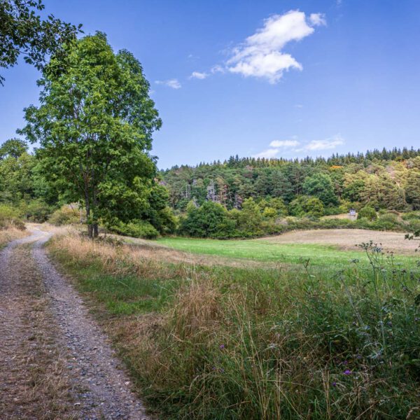 Deutschland, Europa, Europe, Extratour, Germany, Hessen, Hessia, Hiking, Hinterland, Lahn-Dill-Bergland, Location, Ort, Sommer, Summer, Wandern