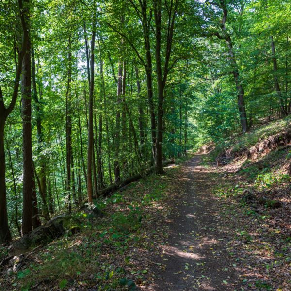 Deutschland, Europa, Europe, Extratour, Germany, Hessen, Hessia, Hiking, Hinterland, Lahn-Dill-Bergland, Location, Ort, Sommer, Summer, Wandern