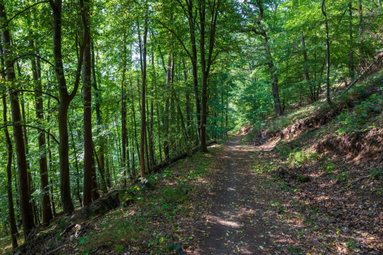 Deutschland, Europa, Europe, Extratour, Germany, Hessen, Hessia, Hiking, Hinterland, Lahn-Dill-Bergland, Location, Ort, Sommer, Summer, Wandern