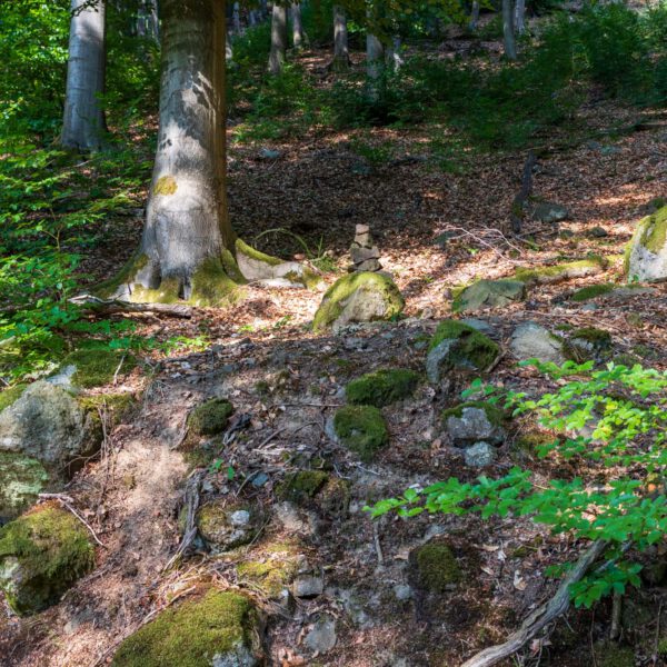 Deutschland, Europa, Europe, Extratour, Germany, Hessen, Hessia, Hiking, Hinterland, Lahn-Dill-Bergland, Location, Ort, Sommer, Summer, Wandern