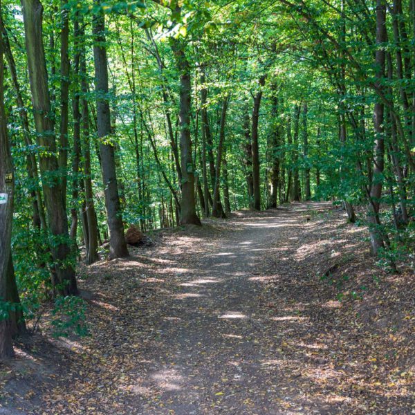 Deutschland, Europa, Europe, Extratour, Germany, Hessen, Hessia, Hiking, Hinterland, Lahn-Dill-Bergland, Location, Ort, Sommer, Summer, Wandern