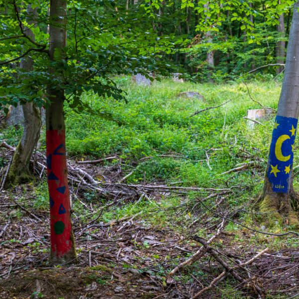 Deutschland, Europa, Europe, Extratour, Germany, Hessen, Hessia, Hiking, Hinterland, Lahn-Dill-Bergland, Location, Ort, Sommer, Summer, Wandern