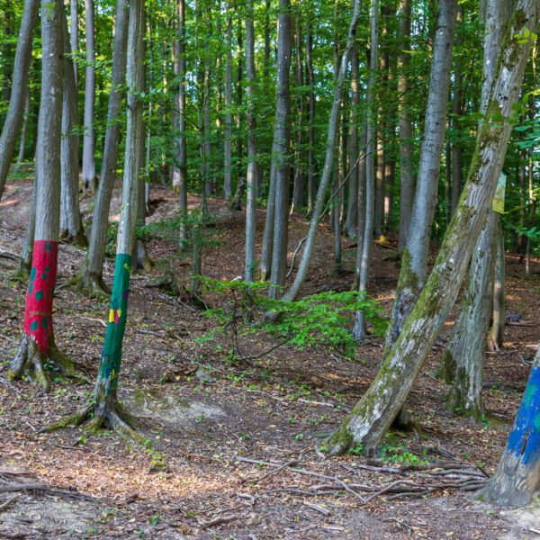 Deutschland, Europa, Europe, Extratour, Germany, Hessen, Hessia, Hiking, Hinterland, Lahn-Dill-Bergland, Location, Ort, Sommer, Summer, Wandern