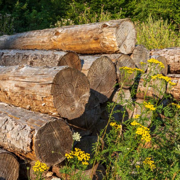 Deutschland, Europa, Europe, Extratour, Germany, Hessen, Hessia, Hiking, Hinterland, Lahn-Dill-Bergland, Location, Ort, Sommer, Summer, Wandern