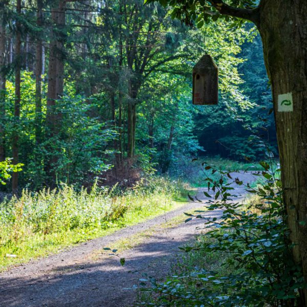 Deutschland, Europa, Europe, Extratour, Germany, Hessen, Hessia, Hiking, Hinterland, Lahn-Dill-Bergland, Location, Ort, Sommer, Summer, Wandern