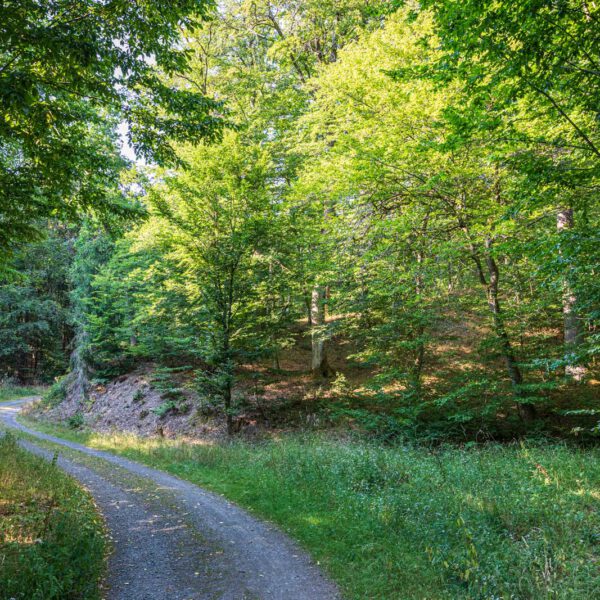 Deutschland, Europa, Europe, Extratour, Germany, Hessen, Hessia, Hiking, Hinterland, Lahn-Dill-Bergland, Location, Ort, Sommer, Summer, Wandern