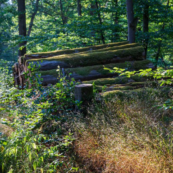 Deutschland, Europa, Europe, Extratour, Germany, Hessen, Hessia, Hiking, Hinterland, Lahn-Dill-Bergland, Location, Ort, Sommer, Summer, Wandern