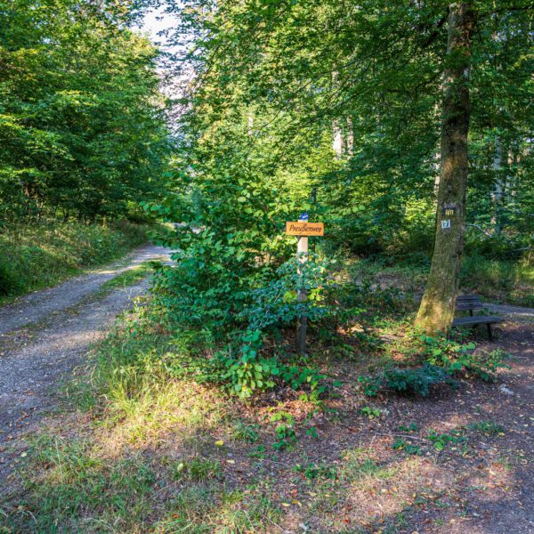 Deutschland, Europa, Europe, Extratour, Germany, Hessen, Hessia, Hiking, Hinterland, Lahn-Dill-Bergland, Location, Ort, Sommer, Summer, Wandern