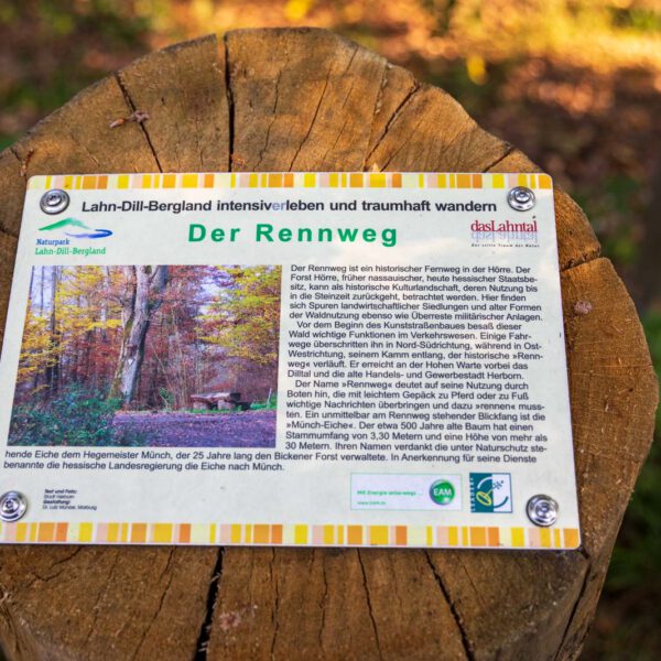 Deutschland, Europa, Europe, Extratour, Germany, Hessen, Hessia, Hiking, Hinterland, Lahn-Dill-Bergland, Location, Ort, Sommer, Summer, Wandern