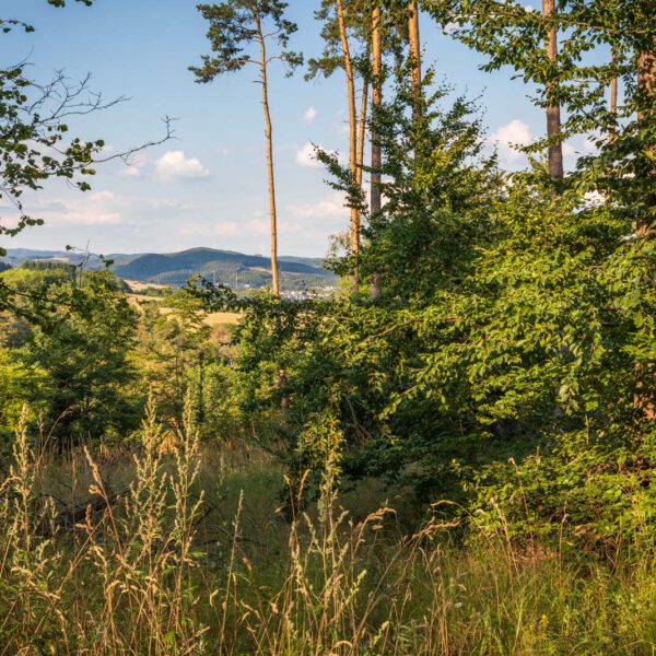 Deutschland, Europa, Europe, Extratour, Germany, Hessen, Hessia, Hiking, Hinterland, Lahn-Dill-Bergland, Location, Ort, Sommer, Summer, Wandern