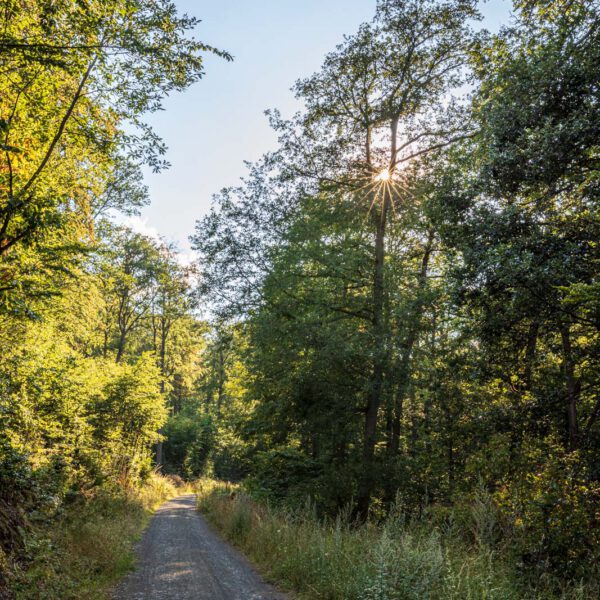 Deutschland, Europa, Europe, Extratour, Germany, Hessen, Hessia, Hiking, Hinterland, Lahn-Dill-Bergland, Location, Ort, Sommer, Summer, Wandern
