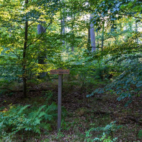 Deutschland, Europa, Europe, Extratour, Germany, Hessen, Hessia, Hiking, Hinterland, Lahn-Dill-Bergland, Location, Ort, Sommer, Summer, Wandern