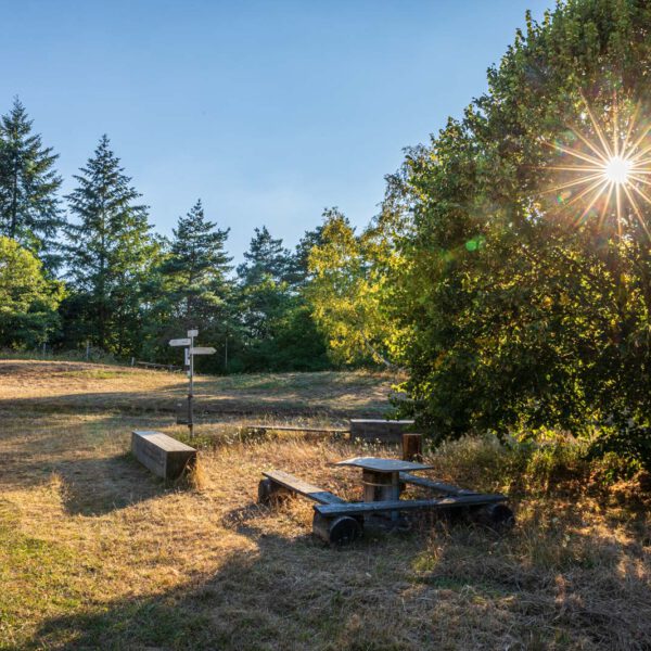 Deutschland, Europa, Europe, Extratour, Germany, Hessen, Hessia, Hiking, Hinterland, Lahn-Dill-Bergland, Location, Ort, Sommer, Summer, Wandern