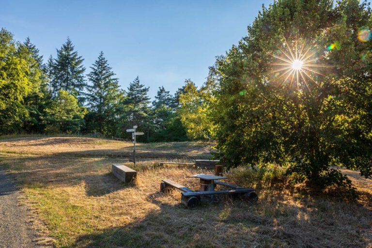 Deutschland, Europa, Europe, Extratour, Germany, Hessen, Hessia, Hiking, Hinterland, Lahn-Dill-Bergland, Location, Ort, Sommer, Summer, Wandern