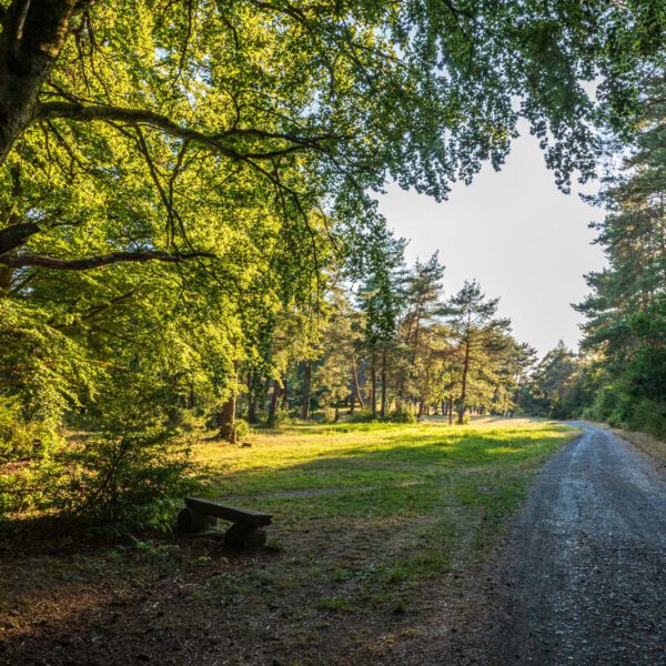 Deutschland, Europa, Europe, Extratour, Germany, Hessen, Hessia, Hiking, Hinterland, Lahn-Dill-Bergland, Location, Ort, Sommer, Summer, Wandern