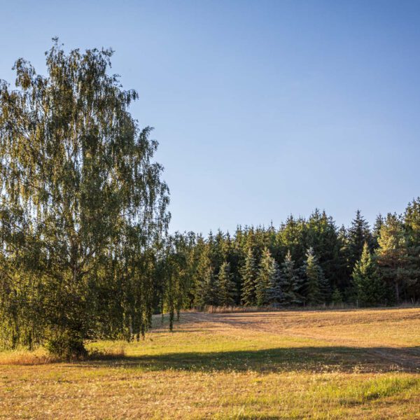 Deutschland, Europa, Europe, Extratour, Germany, Hessen, Hessia, Hiking, Hinterland, Lahn-Dill-Bergland, Location, Ort, Sommer, Summer, Wandern