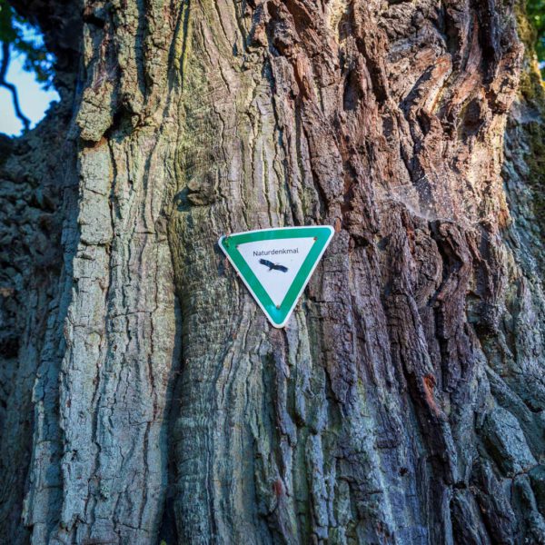 Deutschland, Europa, Europe, Extratour, Germany, Hessen, Hessia, Hiking, Hinterland, Lahn-Dill-Bergland, Location, Ort, Sommer, Summer, Wandern