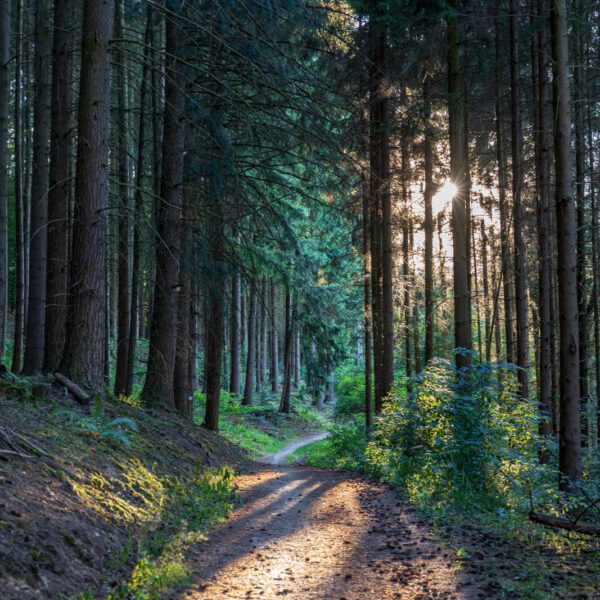 Deutschland, Europa, Europe, Extratour, Germany, Hessen, Hessia, Hiking, Hinterland, Lahn-Dill-Bergland, Location, Ort, Sommer, Summer, Wandern