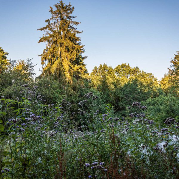 Deutschland, Europa, Europe, Extratour, Germany, Hessen, Hessia, Hiking, Hinterland, Lahn-Dill-Bergland, Location, Ort, Sommer, Summer, Wandern