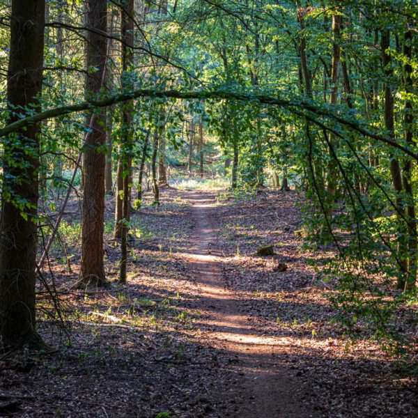 Deutschland, Europa, Europe, Extratour, Germany, Hessen, Hessia, Hiking, Hinterland, Lahn-Dill-Bergland, Location, Ort, Sommer, Summer, Wandern